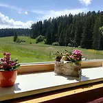 فندق Garni Kaltenbach
