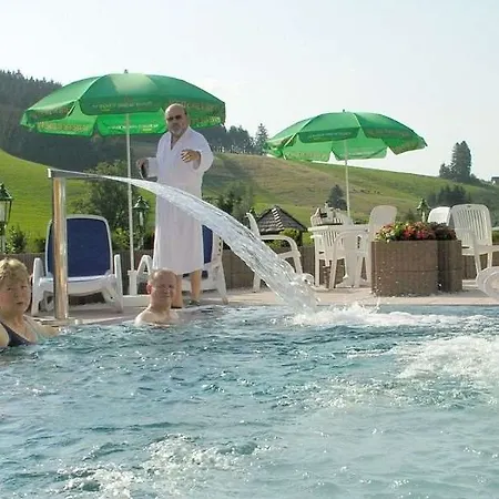 Hotel Akzent Kaltenbach 3*
