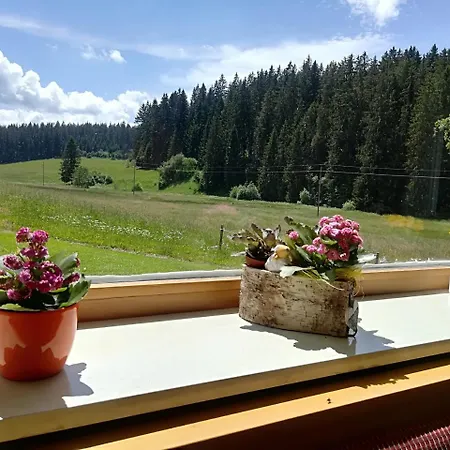 Отель Garni Kaltenbach